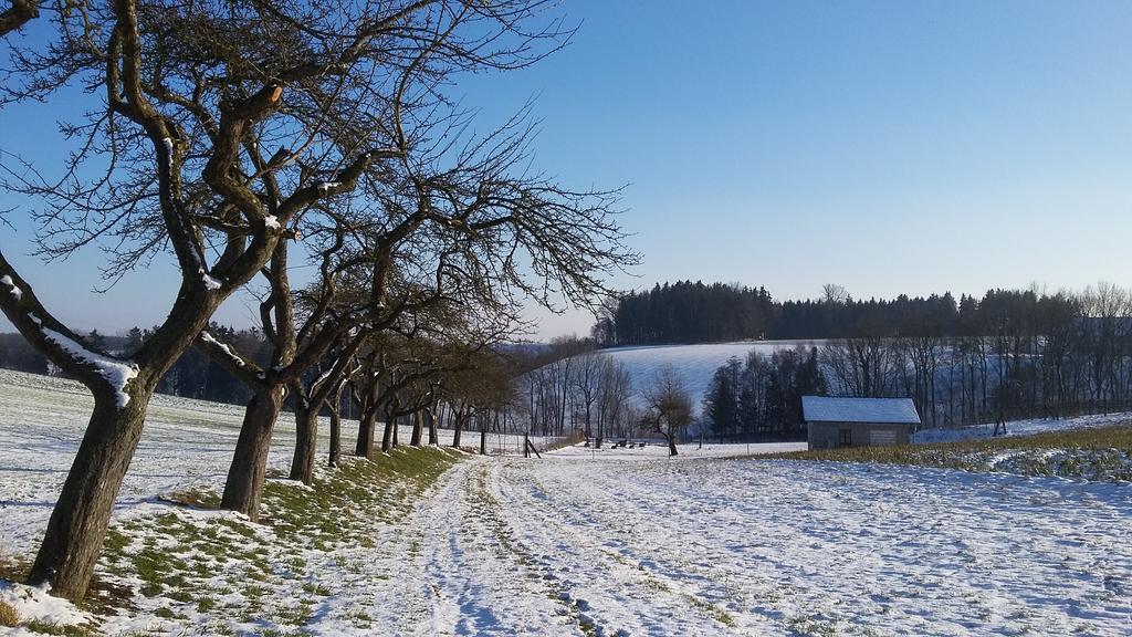 Pension Weinbauer Hofkirchen im Traunkreis Dış mekan fotoğraf